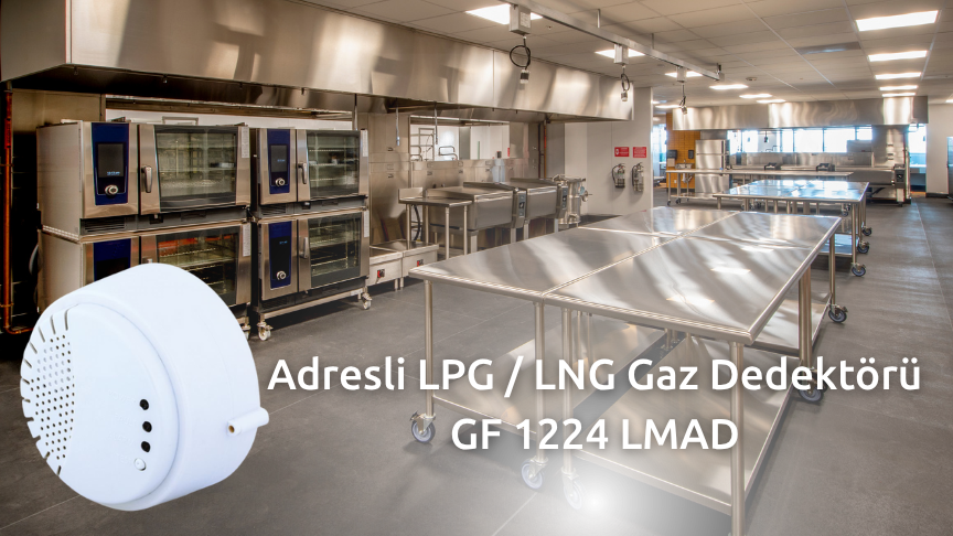 Finder Adresli LPG / LNG Gaz Dedektörü GF 1224 LMAD